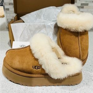Brand New in Box Women’s SZ 6 Ugg Disquette Slippers in Cheastnut!